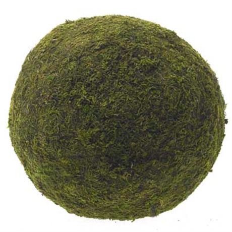 Real Moss and Boxwood Spheres