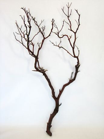 5-6' natural red manzanita branches
